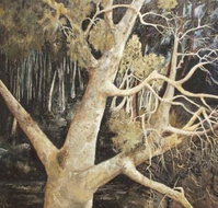 Ku-Ring-Gai Art Centre  Gallery - Palm Beach Accommodation