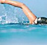 Andrew Boy Charlton Pool - Palm Beach Accommodation