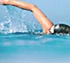 Andrew Boy Charlton Pool - Palm Beach Accommodation 0