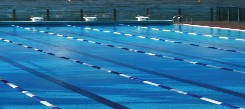 Andrew Boy Charlton Pool - Palm Beach Accommodation 1