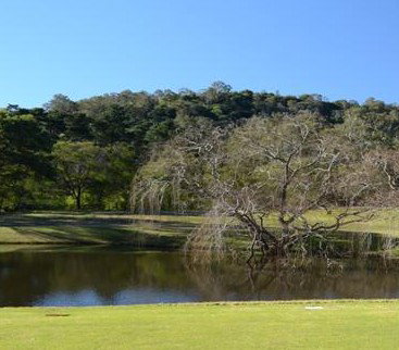 Antill Park Country Golf Club - Palm Beach Accommodation 1