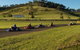 Picton Karting Track - thumb 1