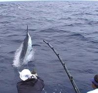 Amokura Charters - Palm Beach Accommodation