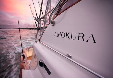 Amokura Charters - Palm Beach Accommodation 4