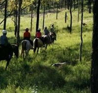 Hunter Valley Horse Riding and Adventures - Palm Beach Accommodation