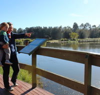 Hunter Wetlands Centre Australia - Palm Beach Accommodation