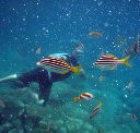 Imagine Cruises - Palm Beach Accommodation