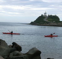 Newcastle Kayak Tours - Palm Beach Accommodation