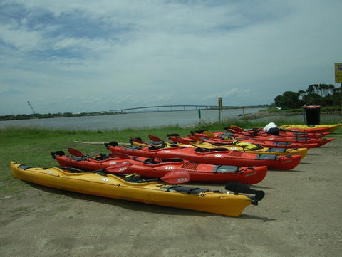 Newcastle Kayak Tours - Palm Beach Accommodation 2