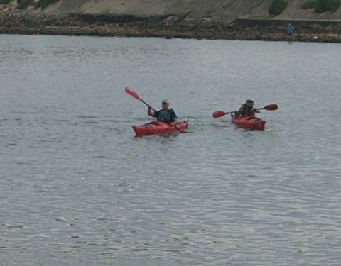 Newcastle Kayak Tours - Palm Beach Accommodation 4