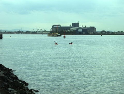 Newcastle Kayak Tours - Palm Beach Accommodation 5