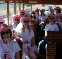 Newcastles Famous Tram - Palm Beach Accommodation