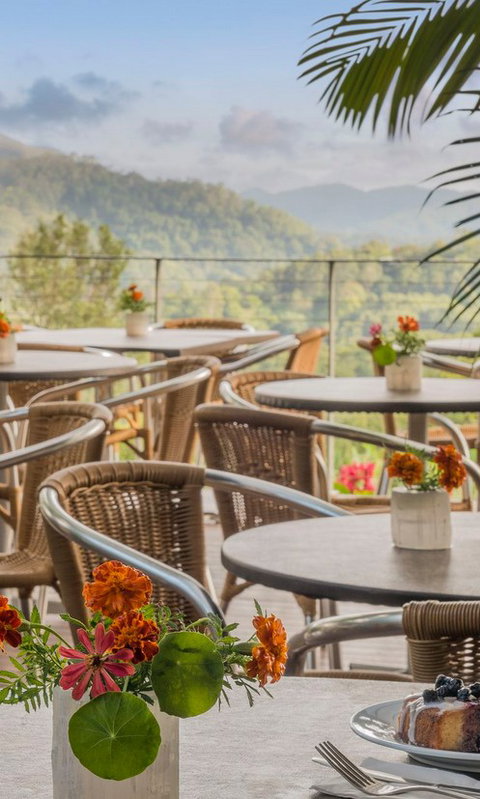 Crystal Castle & Shambhala Gardens - Palm Beach Accommodation 2