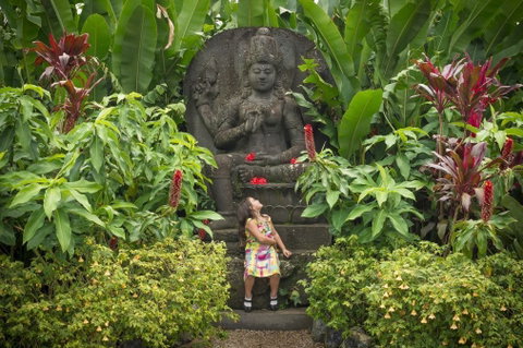 Crystal Castle & Shambhala Gardens - Palm Beach Accommodation 10