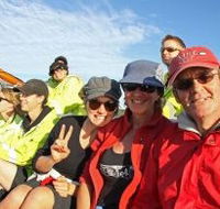 Byron Bay Whale Watching - Palm Beach Accommodation