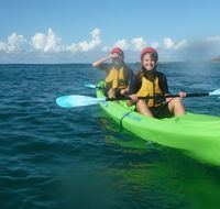 Cape Byron Kayaks - Palm Beach Accommodation