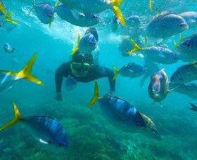 G Adventures - Palm Beach Accommodation 0