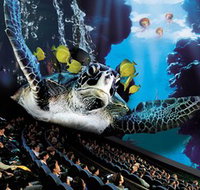IMAX Theatre Sydney - Palm Beach Accommodation