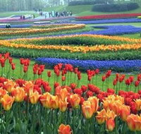 Botanica World Discoveries - Palm Beach Accommodation