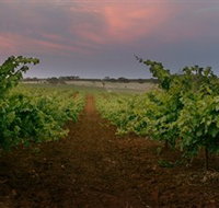 Wine Class - Palm Beach Accommodation
