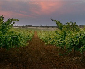 Wine Class - Palm Beach Accommodation 0