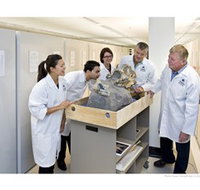 Behind the Scenes Tours at Australian Museum - Palm Beach Accommodation