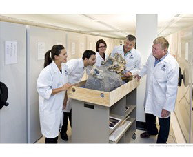 Behind The Scenes Tours At Australian Museum - Palm Beach Accommodation 0
