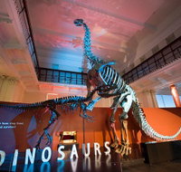 Australian Museum - Palm Beach Accommodation