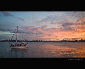A Luxury Yacht On Sydney Harbour - Palm Beach Accommodation 3