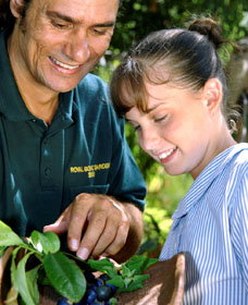 Aboriginal Heritage Tour - Palm Beach Accommodation 1