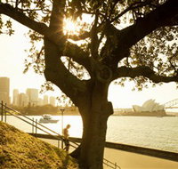 Royal Botanic Gardens and the Domain - Palm Beach Accommodation