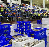 Sydney Fish Market - Palm Beach Accommodation