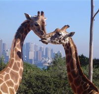 Planetdwellers - Gay and Lesbian Tours of Australia - Palm Beach Accommodation