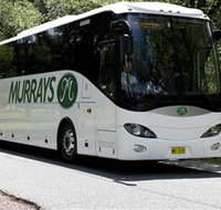 Murrays Coaches - Express Services - Palm Beach Accommodation