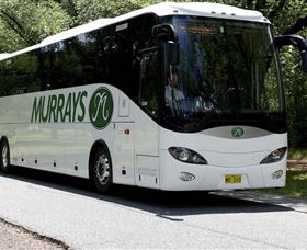 Murrays Coaches - Express Services - Palm Beach Accommodation 0