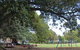 Glebe Foreshore Walk - thumb 0