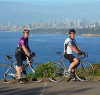 Global Cycle Rides - Palm Beach Accommodation