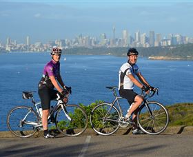 Global Cycle Rides - Palm Beach Accommodation 0