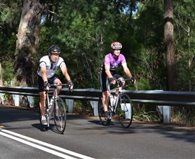 Global Cycle Rides - Palm Beach Accommodation 2