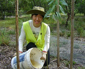 Conservation Volunteers Australia - Sydney - Palm Beach Accommodation 1