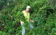 Conservation Volunteers Australia - Sydney - thumb 2