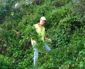 Conservation Volunteers Australia - Sydney - Palm Beach Accommodation 2
