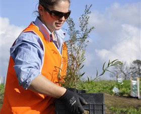 Conservation Volunteers Australia - Sydney - Palm Beach Accommodation 3