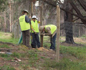 Conservation Volunteers Australia - Sydney - Palm Beach Accommodation 4