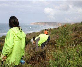 Conservation Volunteers Australia - Sydney - Palm Beach Accommodation 5