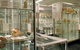 Museum Of Human Disease - thumb 0