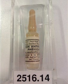 Museum Of Human Disease - Palm Beach Accommodation 2