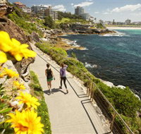 Bondi to Coogee Coastal Walk - Palm Beach Accommodation
