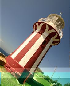 Outdoor East Walking Tours - Palm Beach Accommodation 4