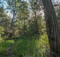 Wallumatta Nature Reserve - Palm Beach Accommodation